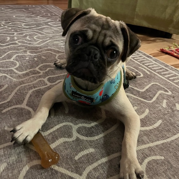 30% off 3. Items $10 or less are 4 / $20 - Picture 1 of 1